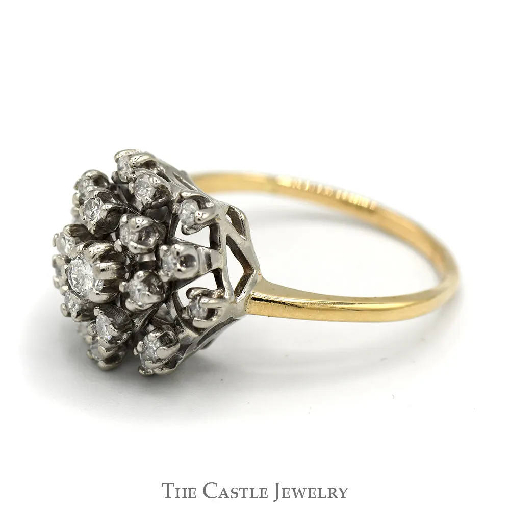 1/2cttw Round Shaped Diamond Cluster Ring in 14k Yellow Gold