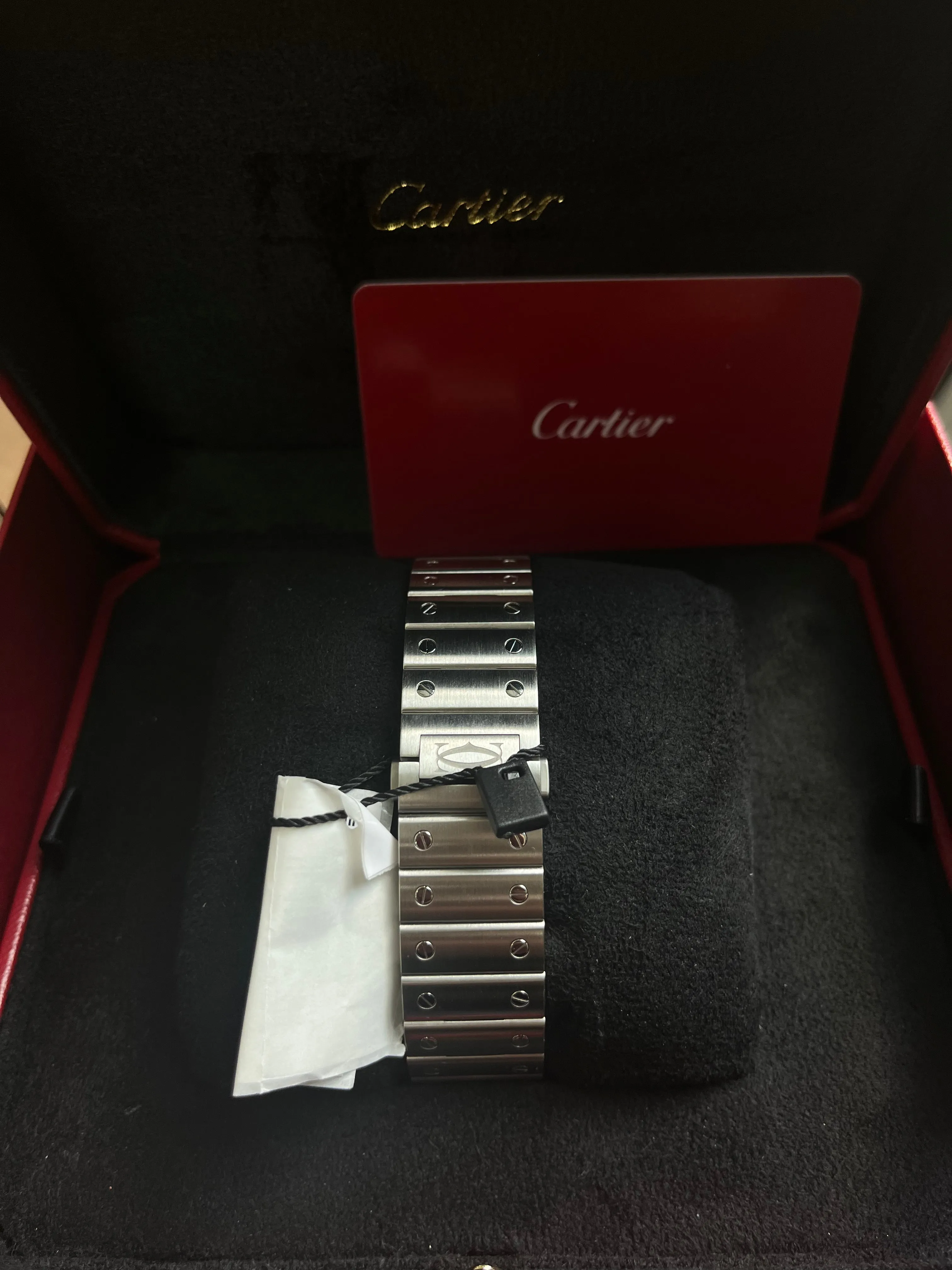 Cartier Santos De Cartier WSSA0030